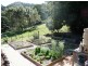 3033 Nerang-Murwillumbah Road, Natural Bridge QLD 4211
