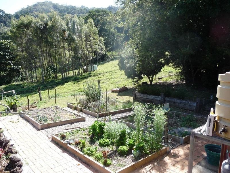 3033 Nerang-Murwillumbah Road, Natural Bridge QLD 4211