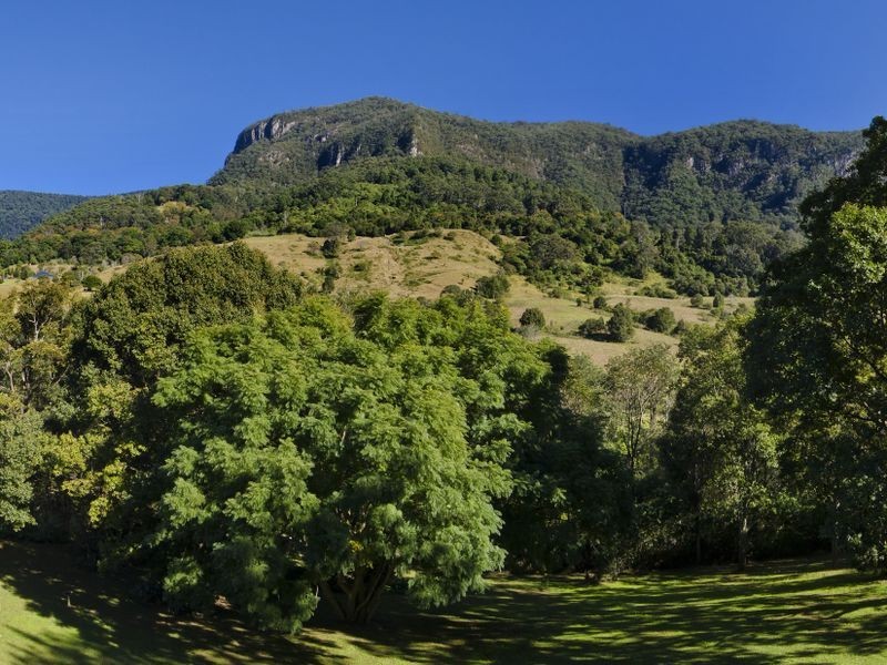 3090 Nerang-Murwillumbah Road, Numinbah Valley QLD 4211