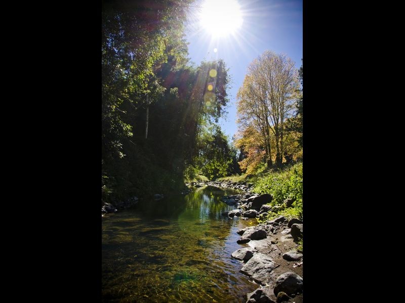 3090 Nerang-Murwillumbah Road, Numinbah Valley QLD 4211