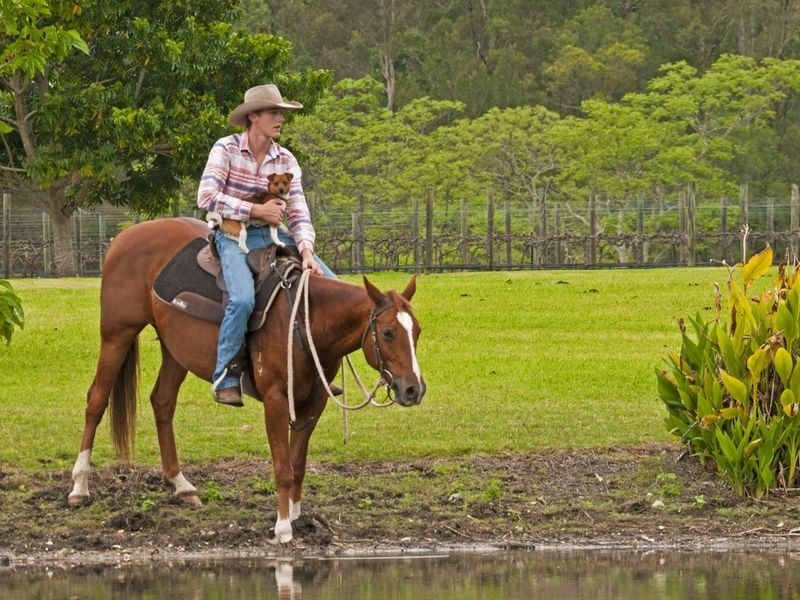 Lot 2 – 24 Beaudesert Nerang Rd, Canungra QLD 4275