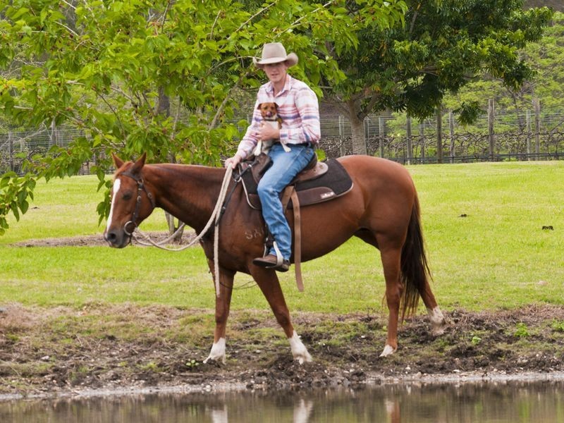 Lot 2 – 24 Beaudesert Nerang Rd, Canungra QLD 4275