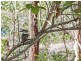 113 Clagiraba Road, Clagiraba QLD 4211