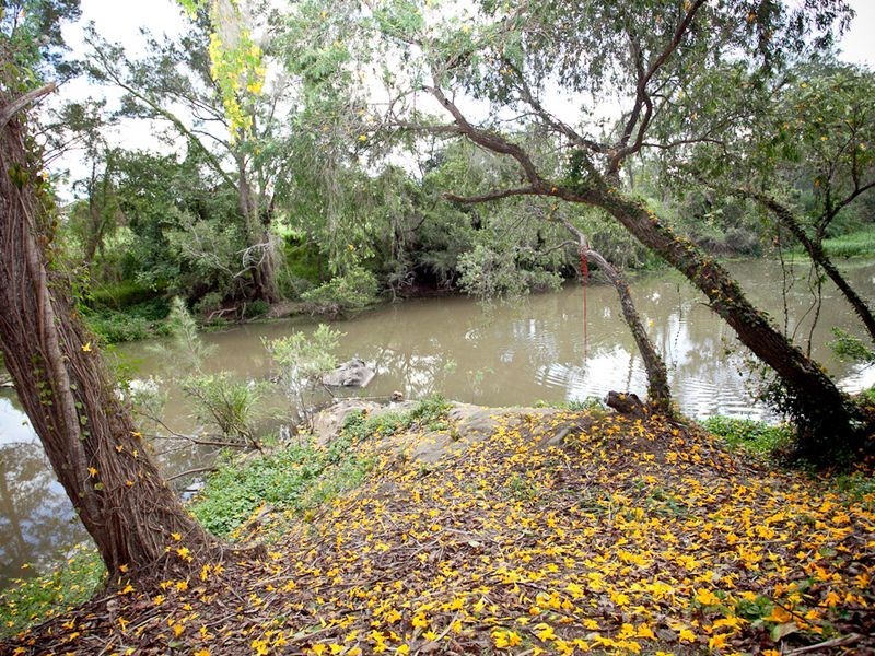 22 Yarraowee Drive, Nerang QLD 4211