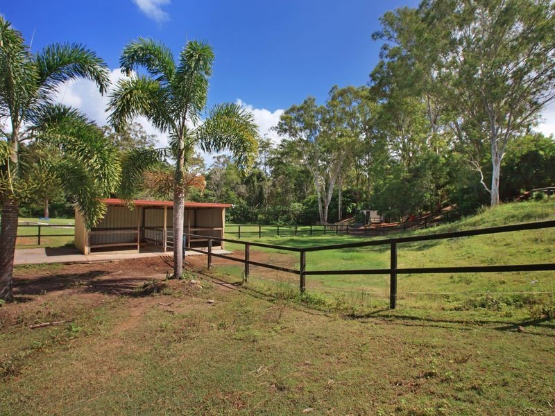 10 Birdlife Court, Nerang QLD 4211