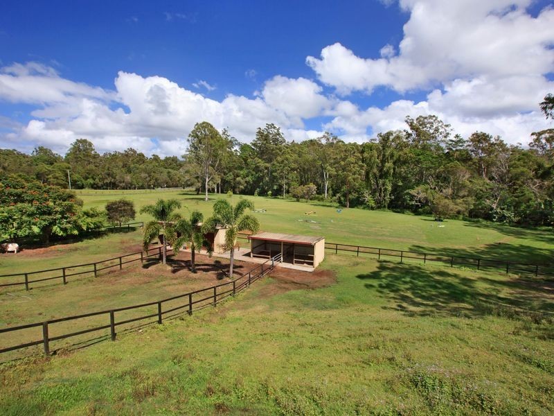 10 Birdlife Court, Nerang QLD 4211