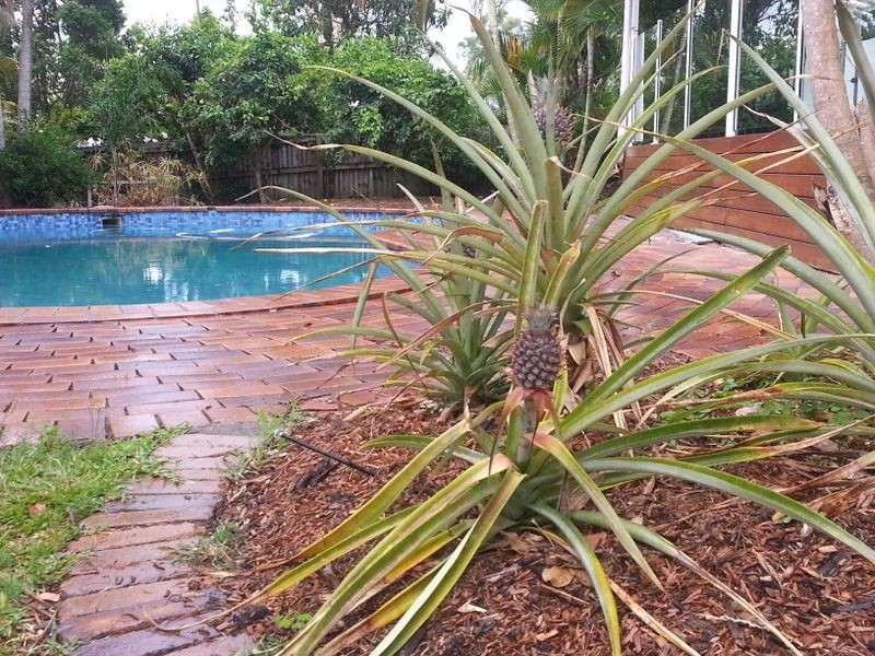 3 Ainsley Avenue, Ashmore QLD 4214