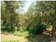 164 North Road, Lower Beechmont QLD 4211
