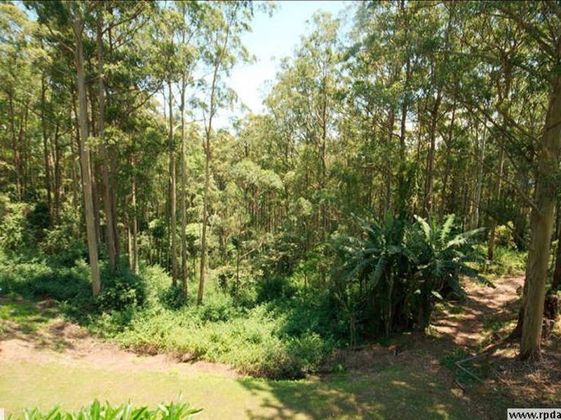 164 North Road, Lower Beechmont QLD 4211