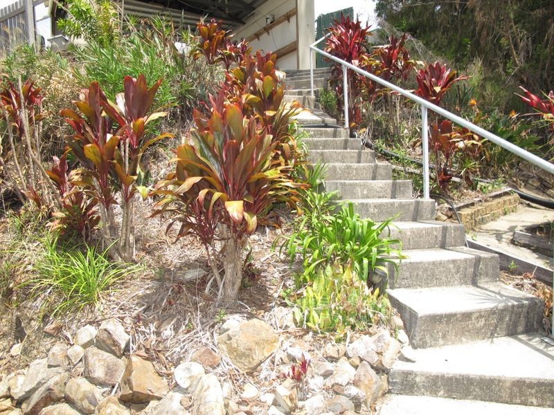 1 Bottletree Lane, Lower Beechmont QLD 4211