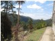 1 Bottletree Lane, Lower Beechmont QLD 4211