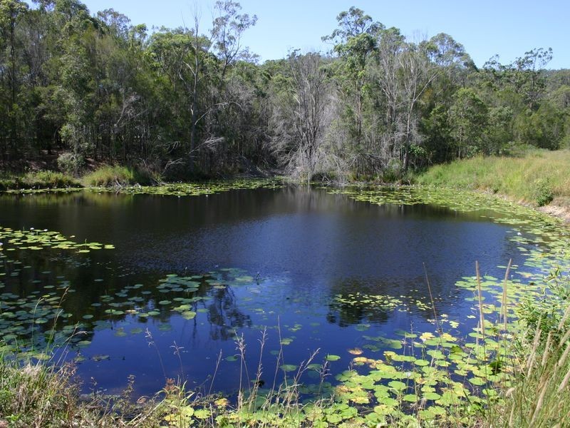 464 Beaudesert-Nerang Road, Maudsland QLD 4210