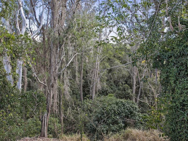 26 Rossmore Street, Nerang QLD 4211