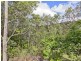 24 Padauk Drive, Nerang QLD 4211