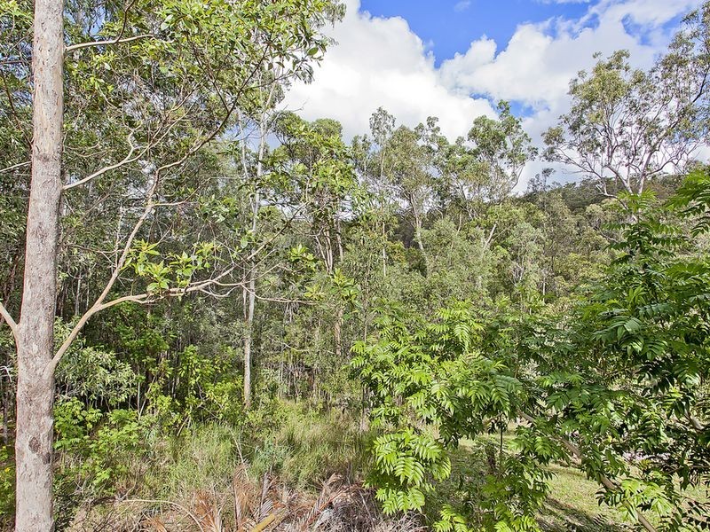 24 Padauk Drive, Nerang QLD 4211