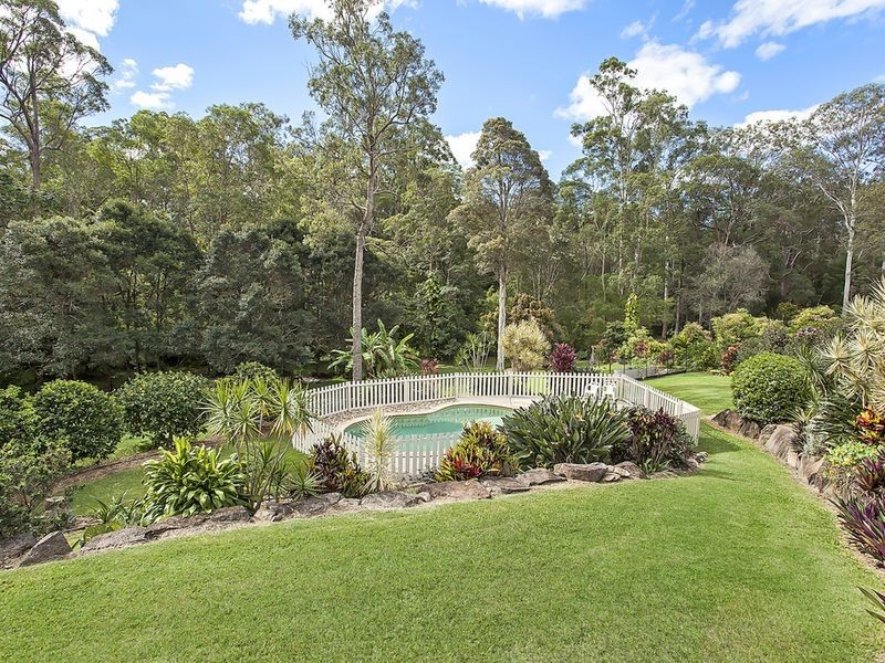 49 Birdlife Court, Nerang QLD 4211