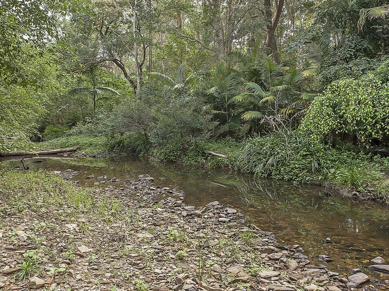 49 Birdlife Court, Nerang QLD 4211