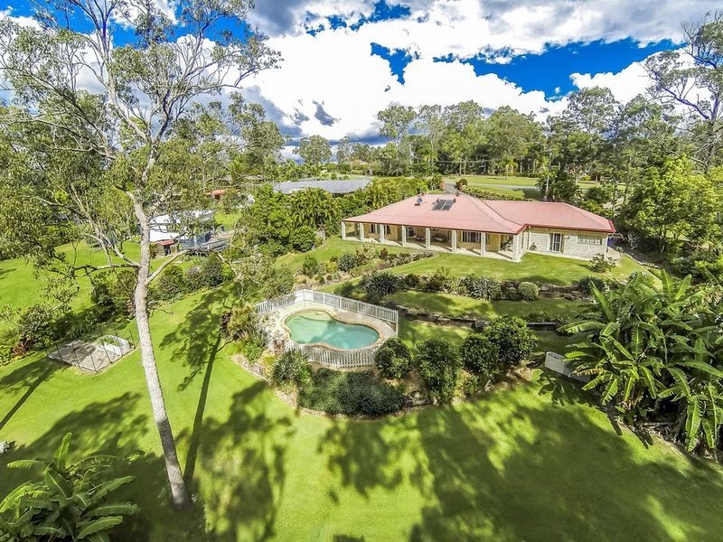 49 Birdlife Court, Nerang QLD 4211