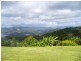 721 Beechmont Road, Lower Beechmont QLD 4211