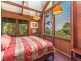 162 Repeater Station Road, Springbrook QLD 4213