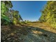 162 Repeater Station Road, Springbrook QLD 4213