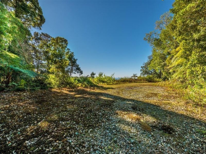 162 Repeater Station Road, Springbrook QLD 4213
