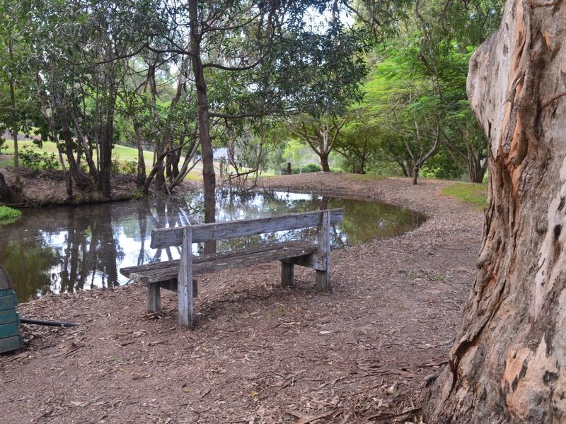 41 Sherlock Court, Guanaba QLD 4210