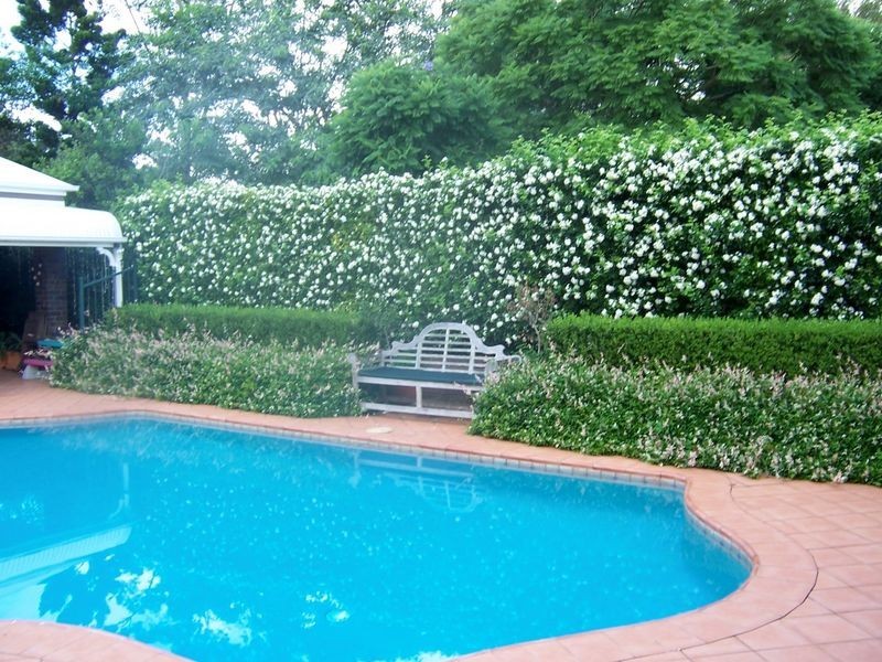 11 Oak Street, Nerang QLD 4211