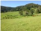 329 Pocket Road, Numinbah Valley QLD 4211