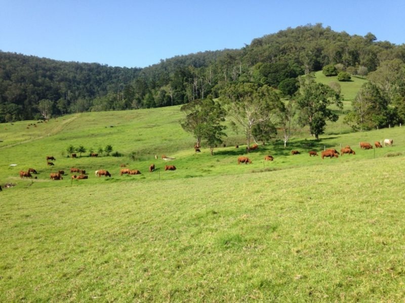 329 Pocket Road, Numinbah Valley QLD 4211