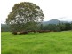 329 Pocket Road, Numinbah Valley QLD 4211