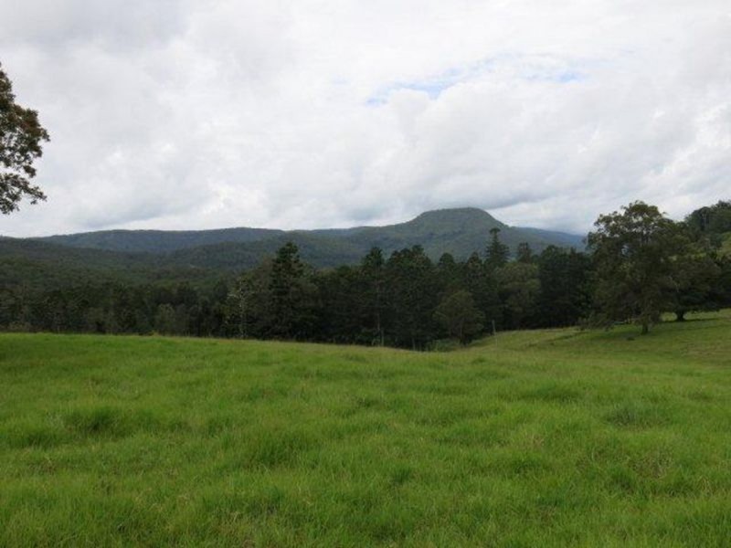 329 Pocket Road, Numinbah Valley QLD 4211