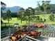 329 Pocket Road, Numinbah Valley QLD 4211