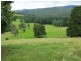 329 Pocket Road, Numinbah Valley QLD 4211