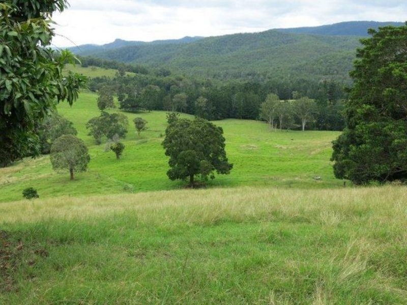 329 Pocket Road, Numinbah Valley QLD 4211