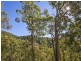 128 Narrow Leaf Road, Advancetown QLD 4211