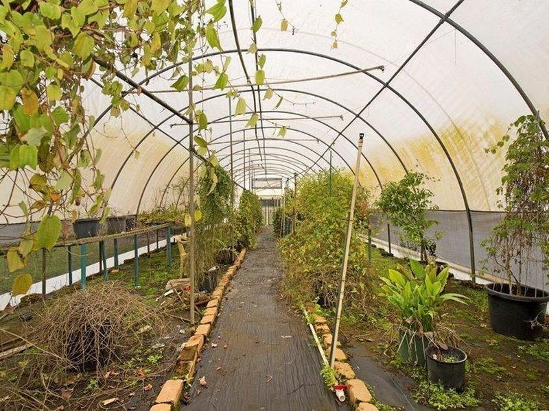 2 Braeside Crescent, Maudsland QLD 4210