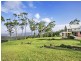 266 Freemans Road, Lower Beechmont QLD 4211