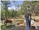 2747 Beechmont Road, Canungra QLD 4275