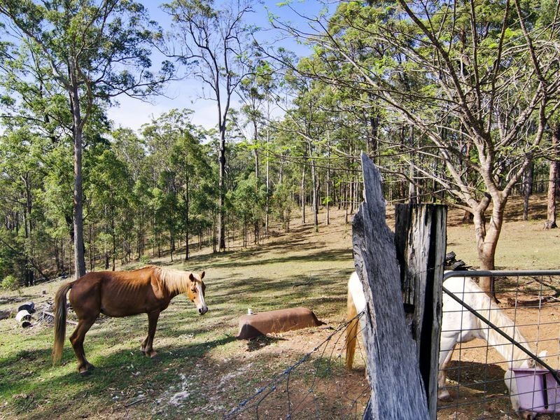 2747 Beechmont Road, Canungra QLD 4275