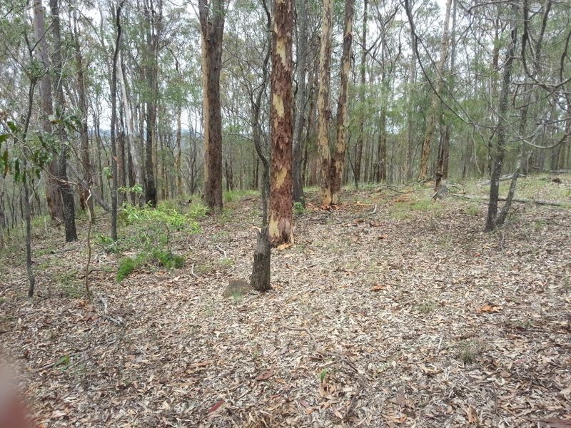 29-33 Currawong Court, Tamborine QLD 4270