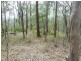 29-33 Currawong Court, Tamborine QLD 4270