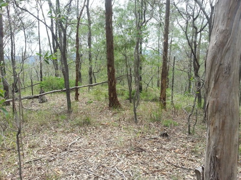 29-33 Currawong Court, Tamborine QLD 4270