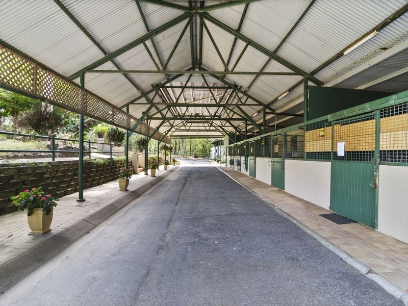 59 Billabirra Crescent, Nerang QLD 4211