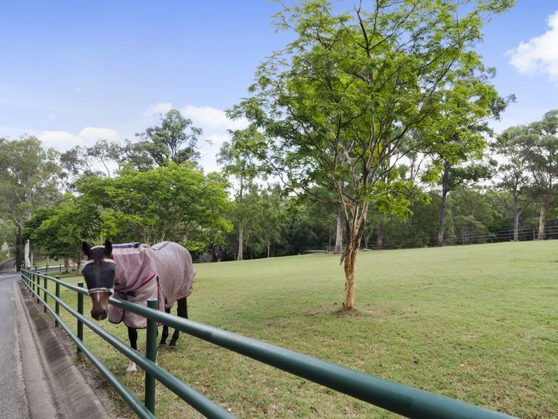 59 Billabirra Crescent, Nerang QLD 4211