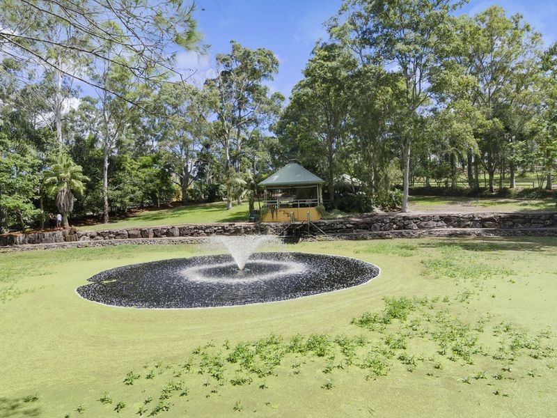 59 Billabirra Crescent, Nerang QLD 4211