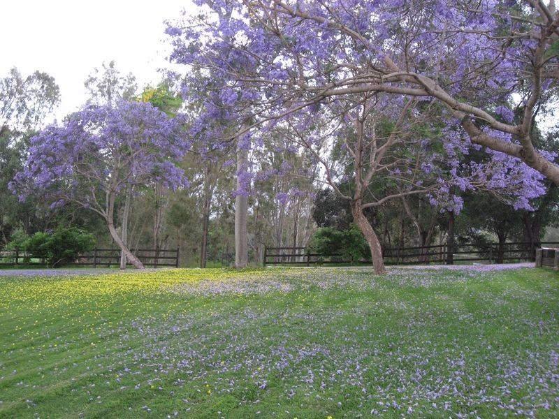 26-32 Geiger Road, Canungra QLD 4275