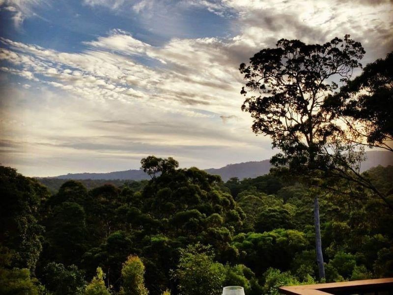37 Jackaroo Crescent, Gilston QLD 4211