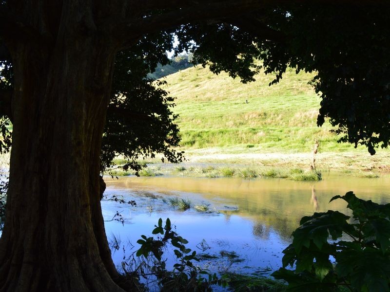 Lot 13 & 1 Illinbah Road, Canungra QLD 4275