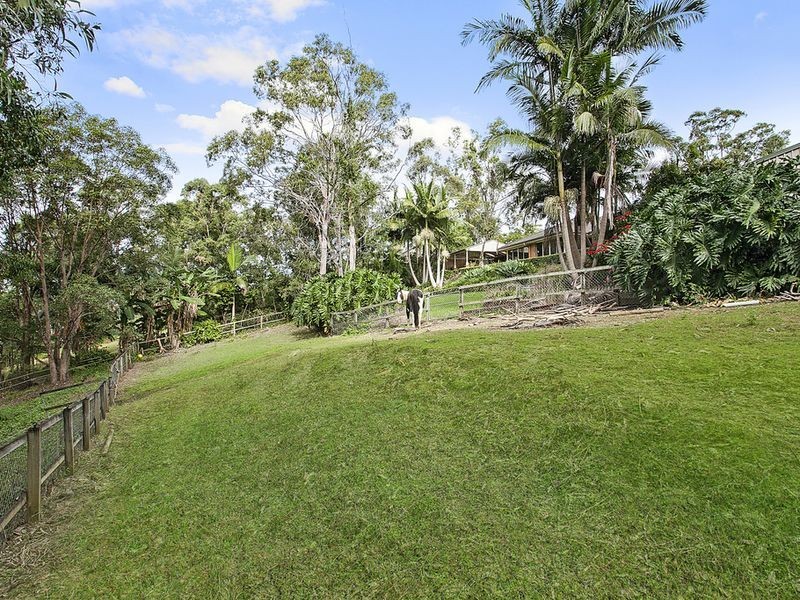 19 Rokeby Court, Nerang QLD 4211